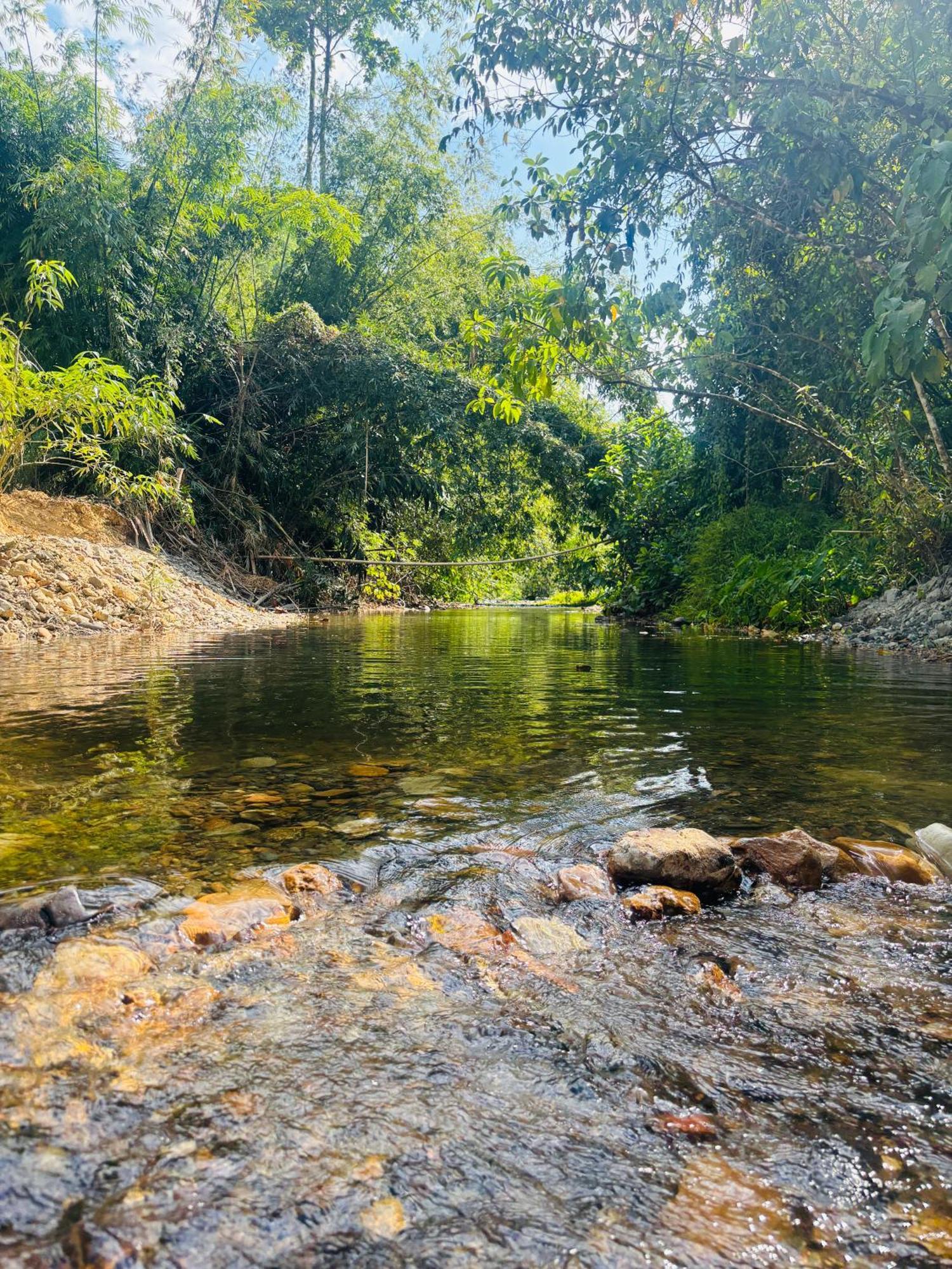 Camping Phutajoy Khaosok แคมป์ปิ้งภูตาจ้อยเขาศก Ban Thung Lang Tham Exterior photo
